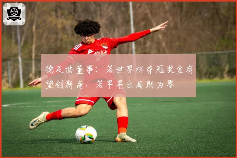 德足协董事：若世界杯夺冠奖金有望创新高，若早早出局则为零